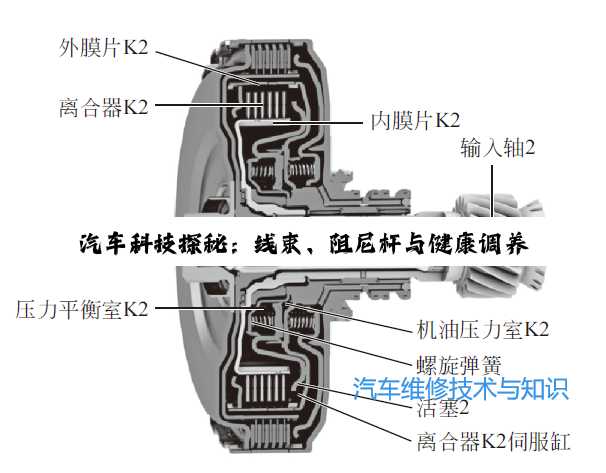 【科普解答】汽车科技探秘：线束、阻尼杆与健康调养的深度洞察